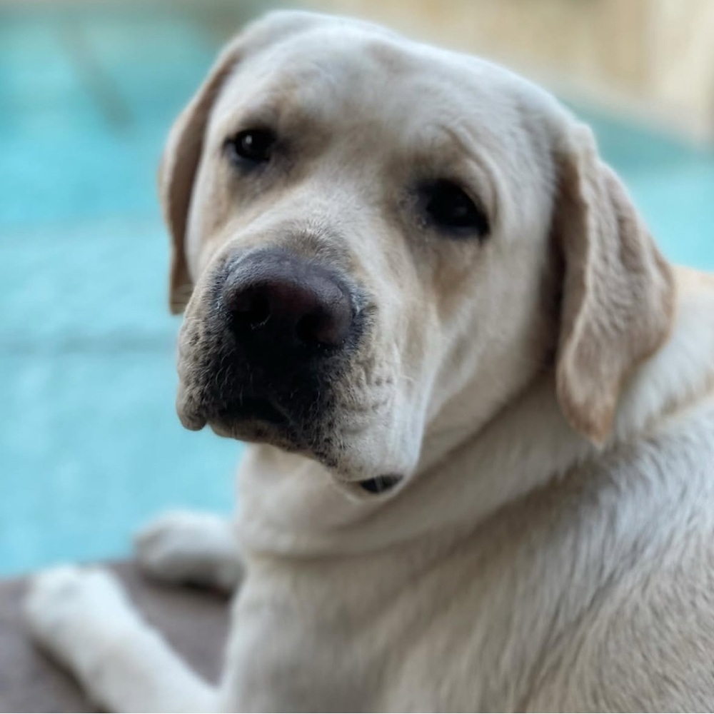 Quick list item - Picture 5 of 7